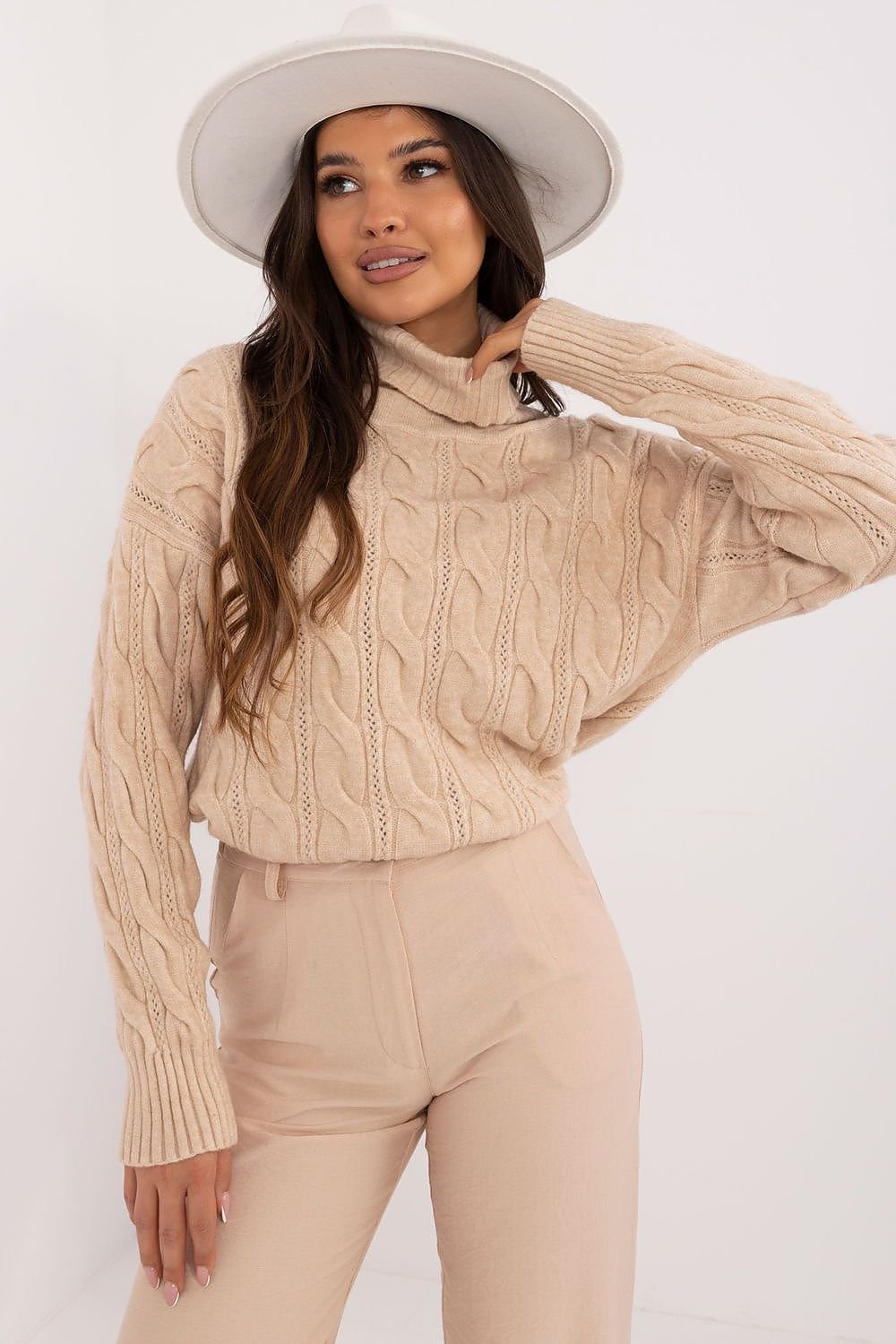 Turtleneck model 199643 AT