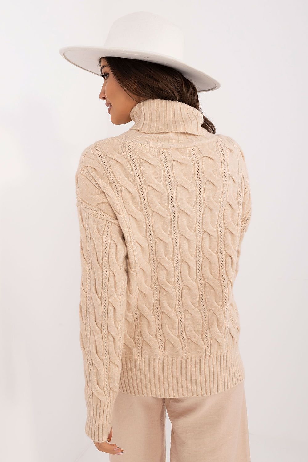Turtleneck model 199643 AT