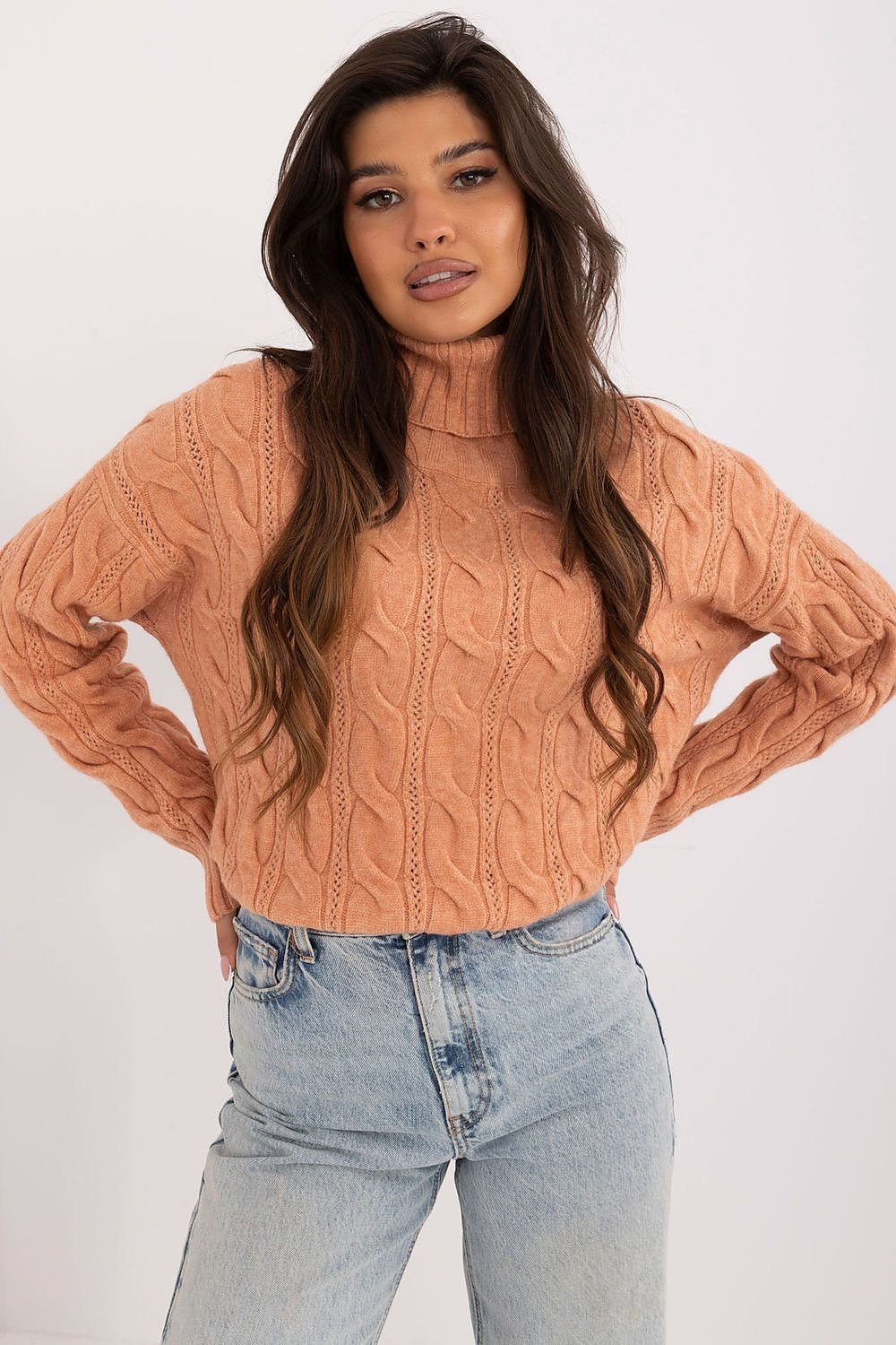Turtleneck model 199643 AT