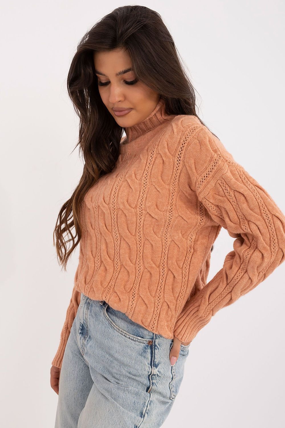 Turtleneck model 199643 AT