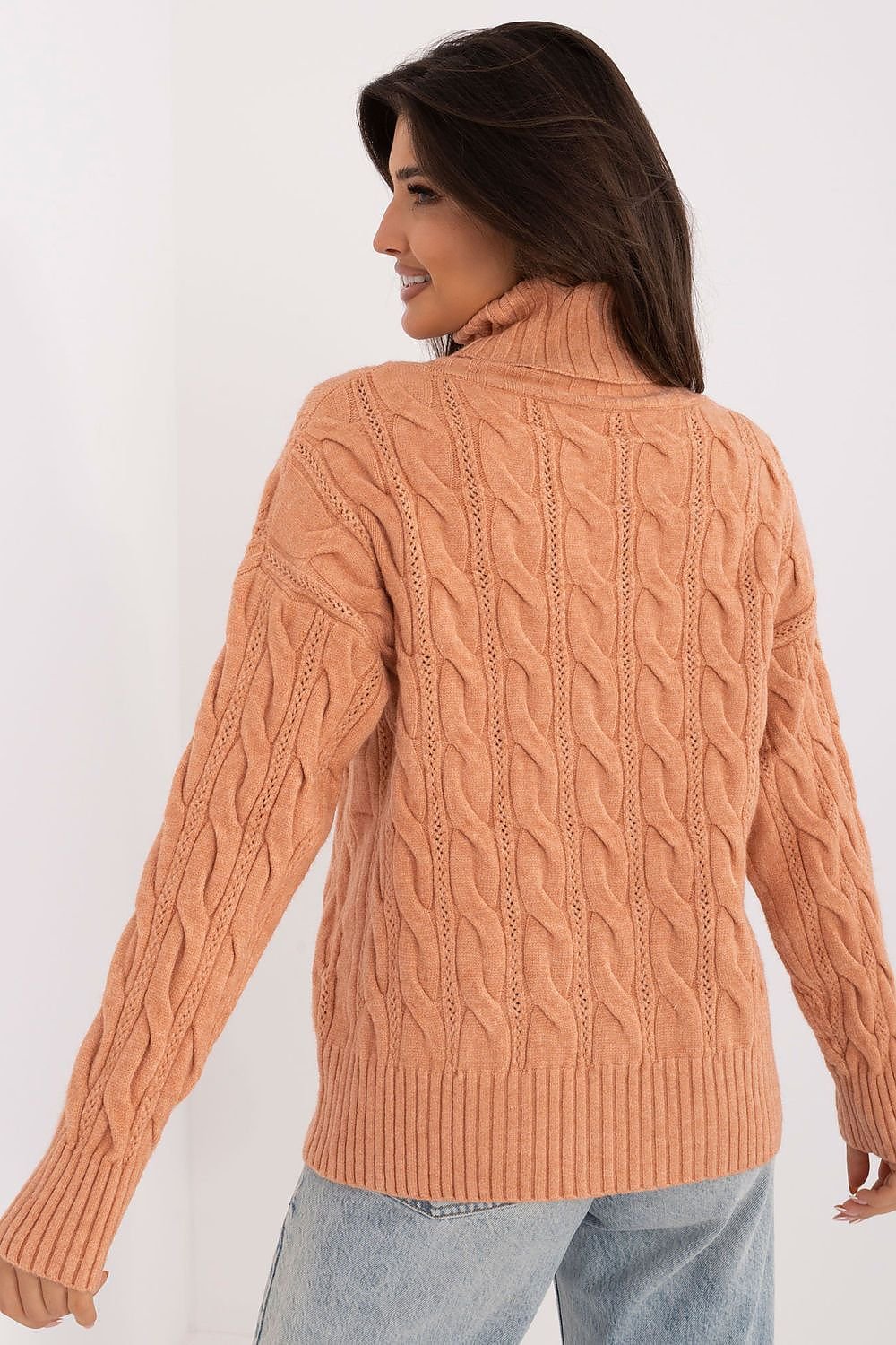 Turtleneck model 199643 AT