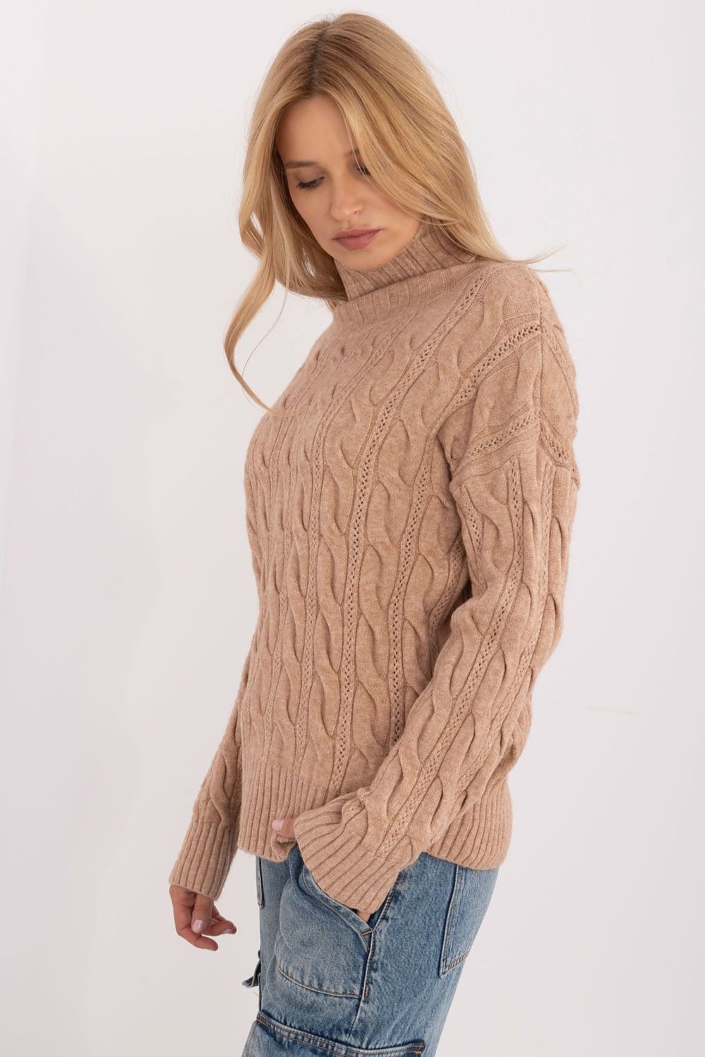 Turtleneck model 199643 AT