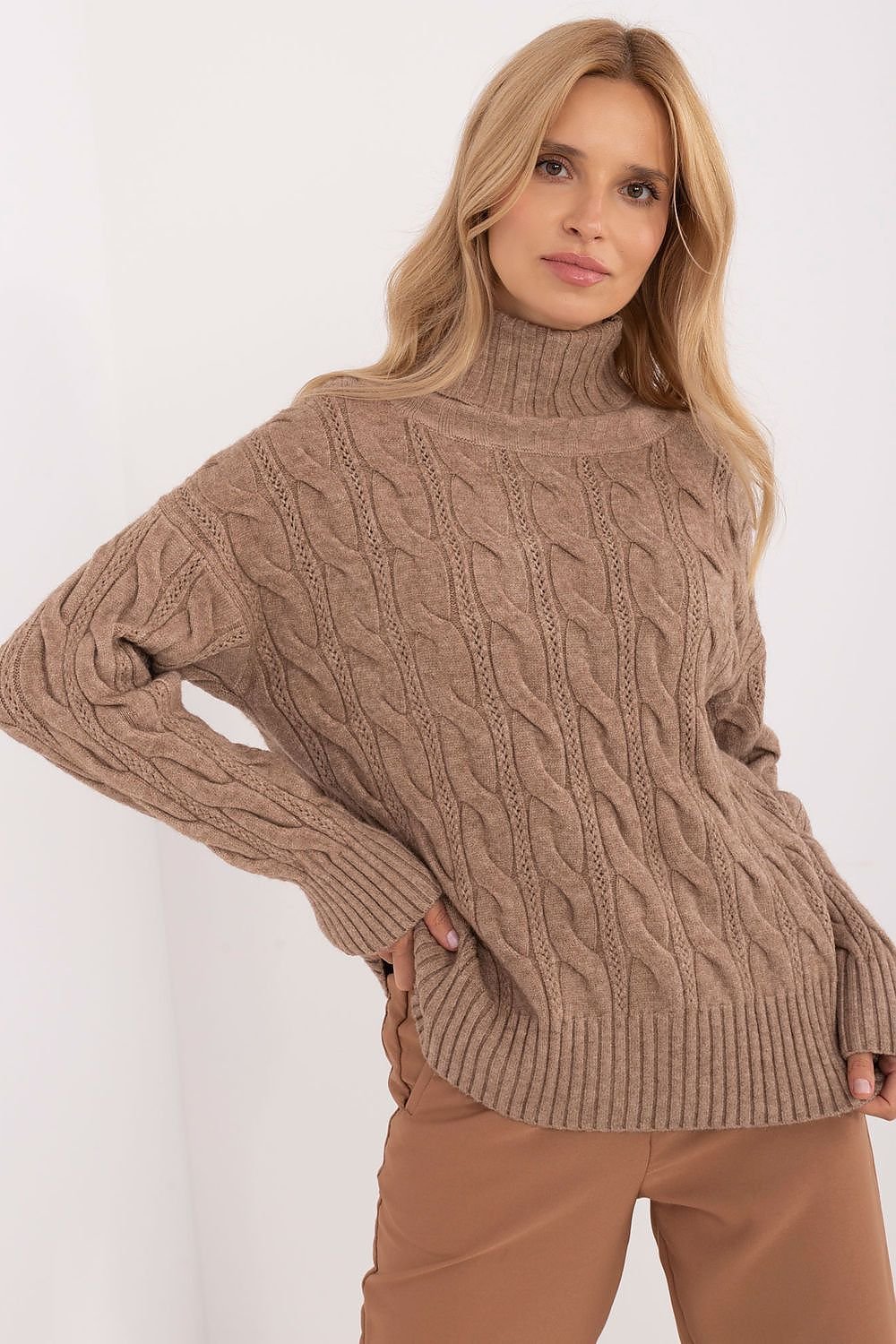 Turtleneck model 199643 AT