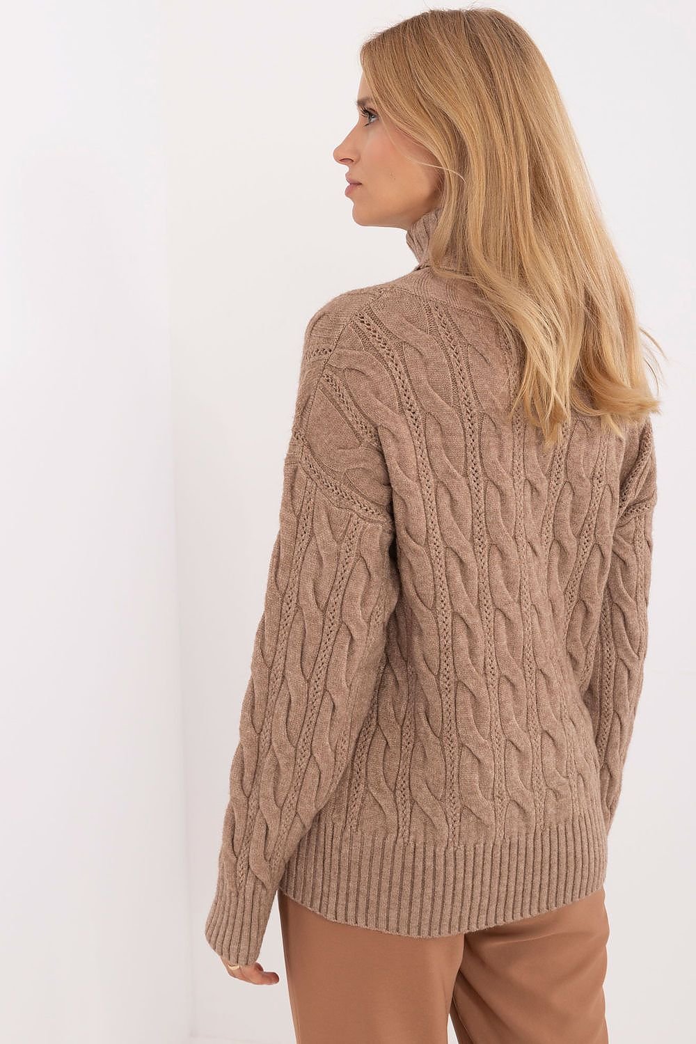 Turtleneck model 199643 AT