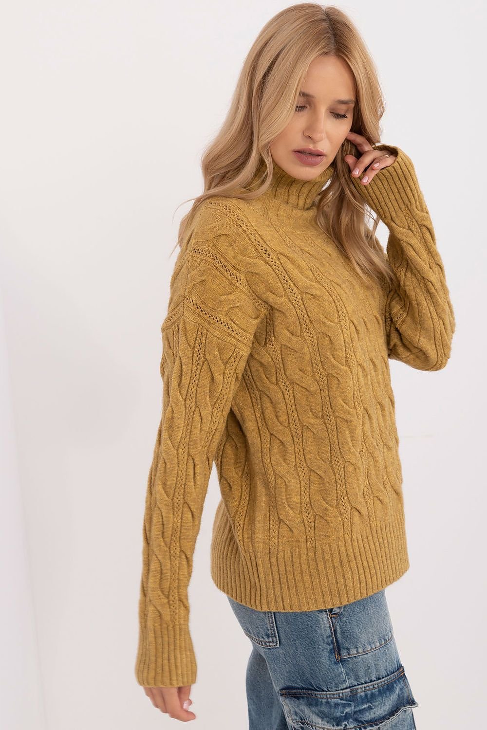 Turtleneck model 199643 AT